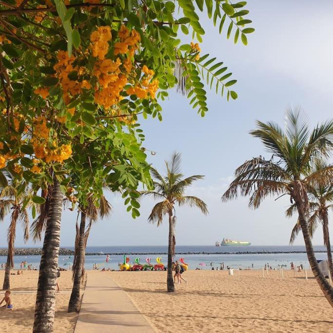 San Andres Beach View Apartment المظهر الخارجي الصورة